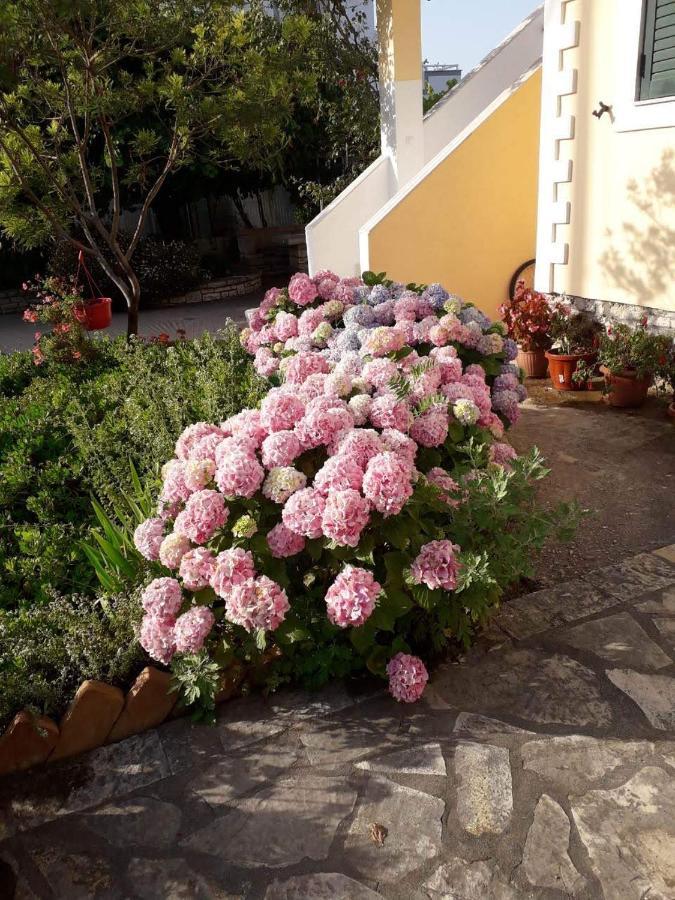 Villa Violeta Ksamil Kültér fotó
